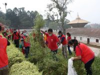 DYC Cleaning pashupati Area!!