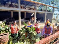 Gau Sewa at Gulmi