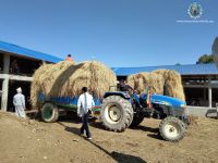 Gau Sewa at Gulmi