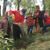 Tree Plantation at Kripalu Udhyan