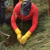 Tree Plantation at Kripalu Udhyan