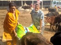 Gau Sewa program at Gulmi