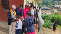 Distribution program at Gulmi