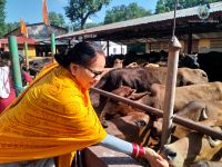 Gau Sewa at Bharatpur