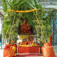Haribodhini Ekadashi at SSD,Thimi