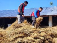 Distribution program at Gulmi