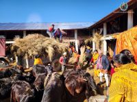 Distribution program at Gulmi