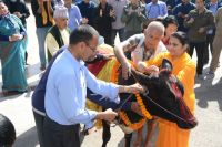 Gai pooja at Shyama Shyam Dham,Thimi!