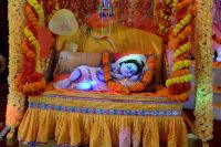 Glimpses of Ram Navami Celebration at Shyama Shyam Dham