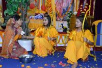 Glimpses of Ram Navami Celebration at Shyama Shyam Dham