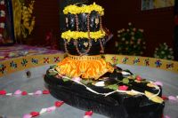 Glimpses of Mahashivaratri Celebration