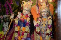 Sharad Purnima Celebration 