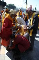 Sadhu Sewa on the occasion of 