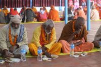 Sadhu Sewa on the occasion of 