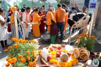 Gai Puja at SSD,Thimi