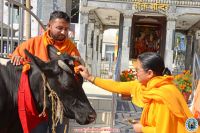 Gai Puja at SSD,Thimi