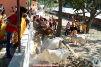 Gau Sewa Program 