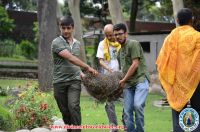 Kripalu Udhyan Cleaning