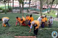 Kripalu Udhyan Cleaning
