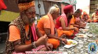 Sadhu Sewa