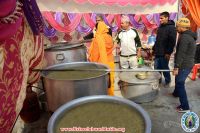 Makar Sankranti Celebration