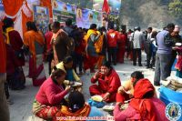 Makar Sankranti Celebration