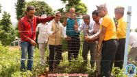 Tree Plantation 