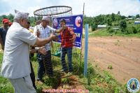 Tree Plantation 