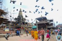 Krishna Mandir Visit