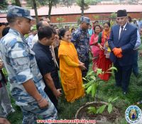 Rudrakshya Plantation