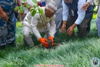 Rudrakshya Plantation