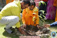 Rudrakshya Plantation