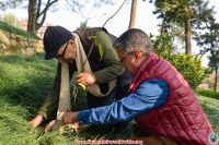 Rudrakshya Plantation