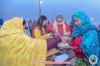 Makar Sankranti 